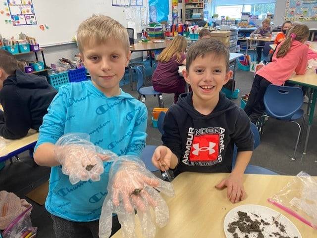 3rd graders with owl pellets